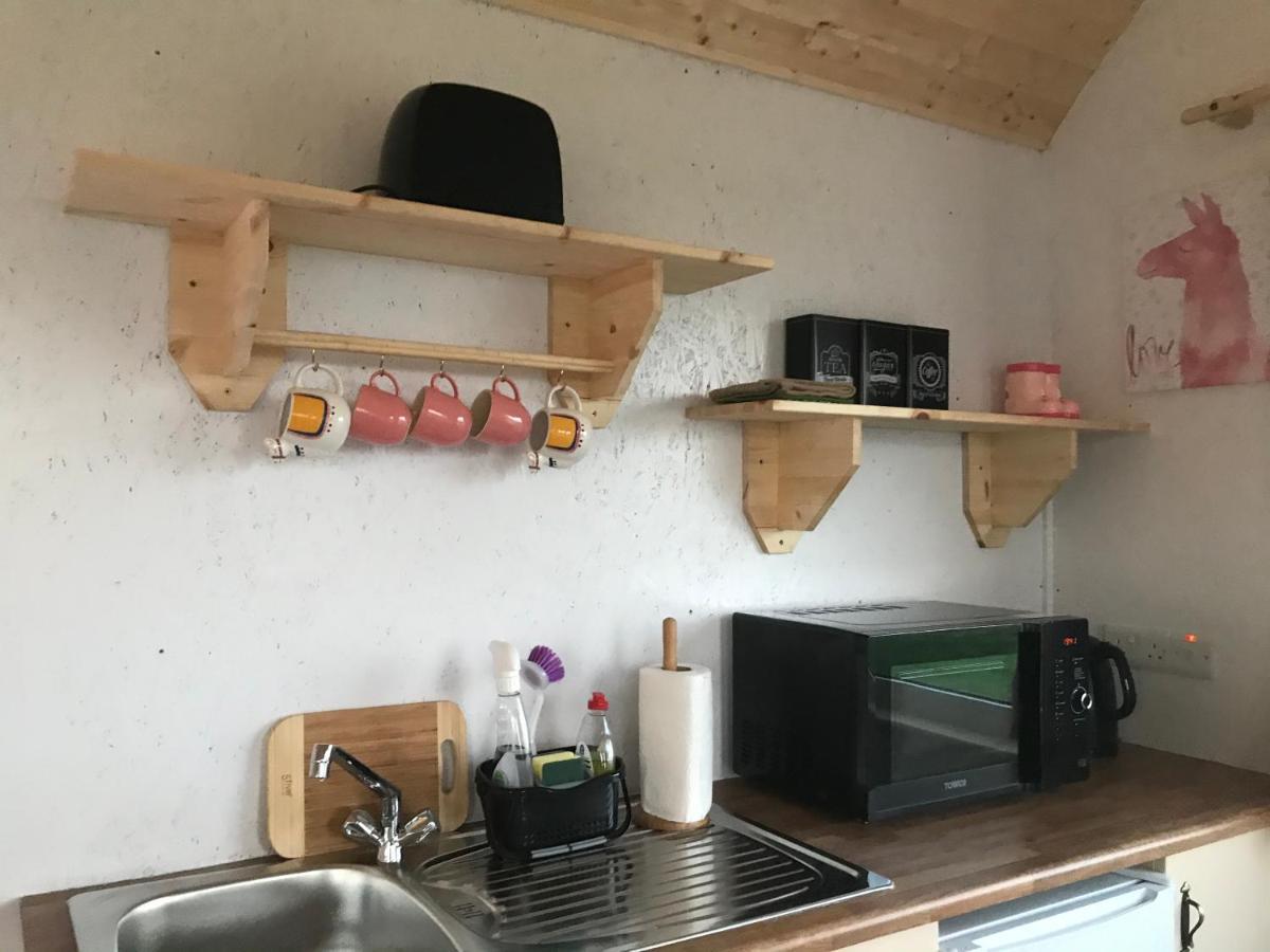 The Beautiful Lazy Llama Shepherd Hut Farm Stay باليشانون المظهر الخارجي الصورة