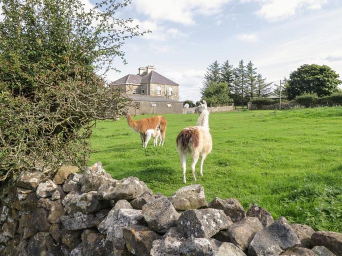 The Beautiful Lazy Llama Shepherd Hut Farm Stay باليشانون المظهر الخارجي الصورة
