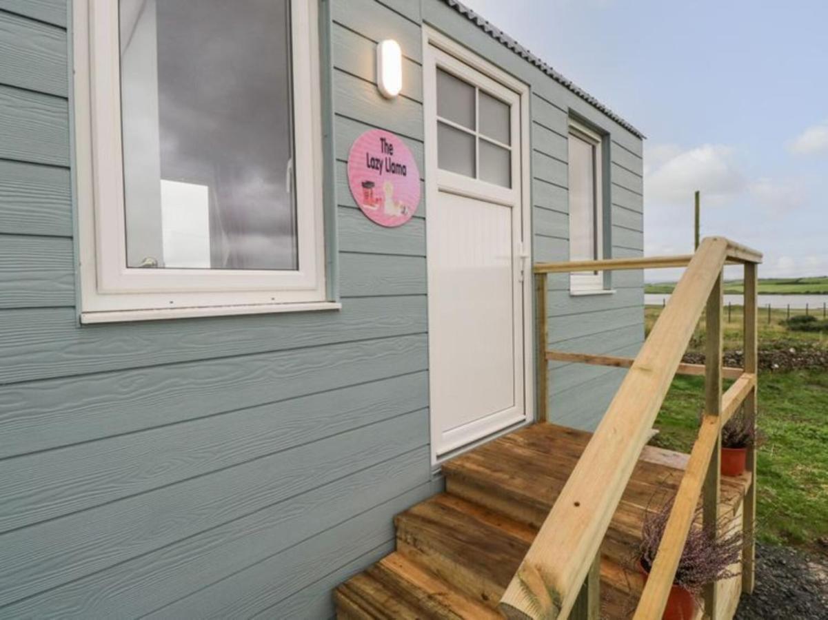 The Beautiful Lazy Llama Shepherd Hut Farm Stay باليشانون المظهر الخارجي الصورة