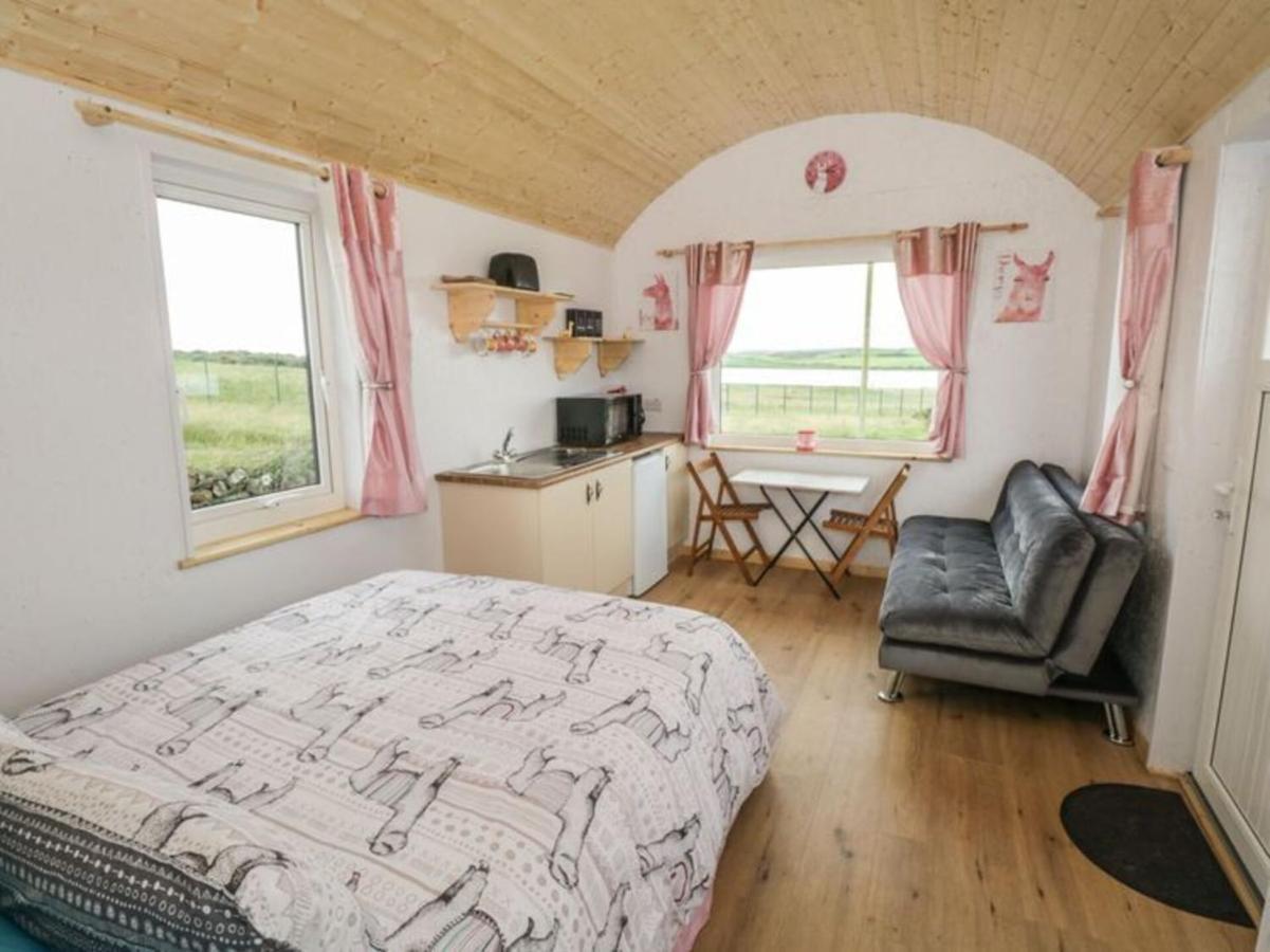 The Beautiful Lazy Llama Shepherd Hut Farm Stay باليشانون المظهر الخارجي الصورة
