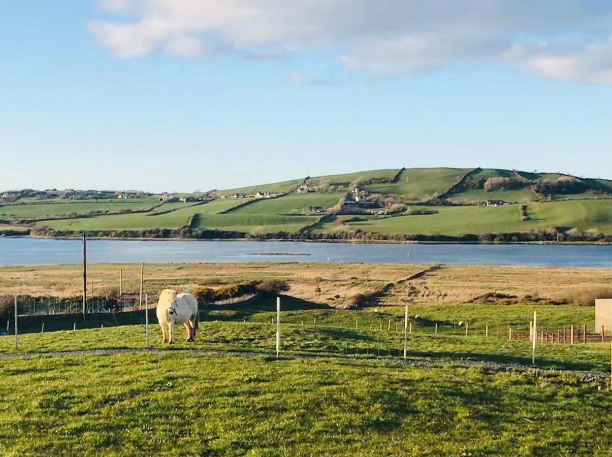 The Beautiful Lazy Llama Shepherd Hut Farm Stay باليشانون المظهر الخارجي الصورة