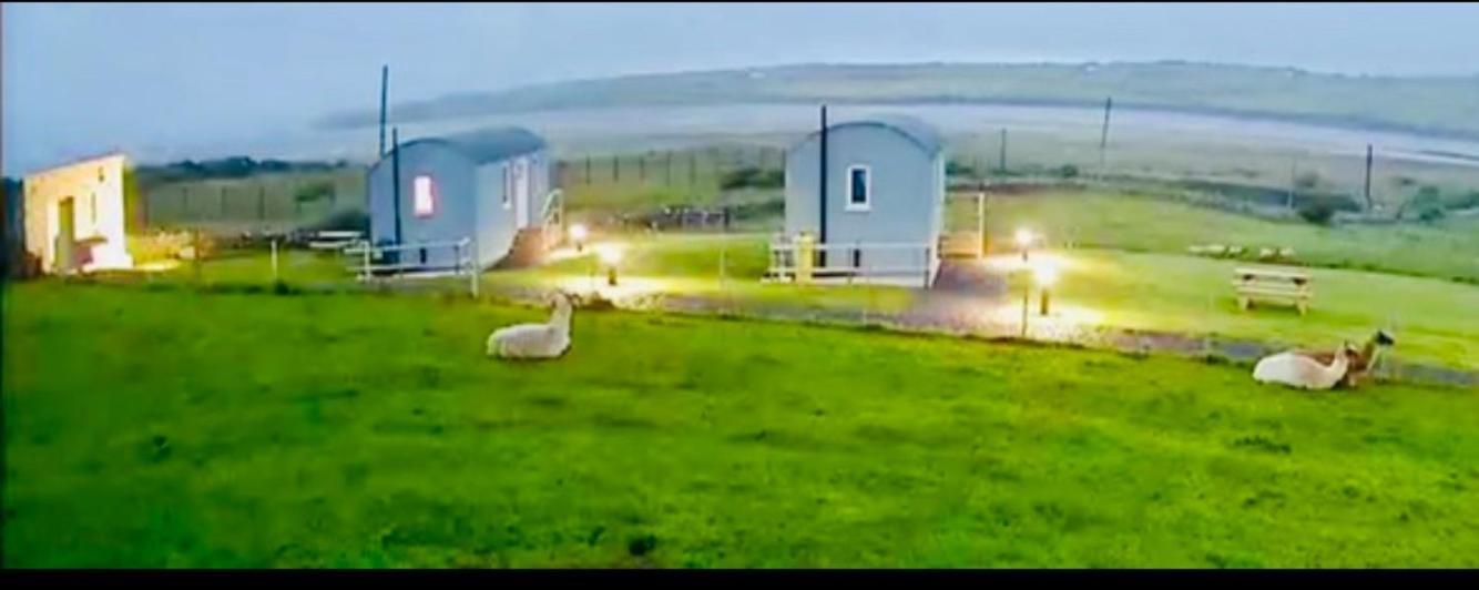 The Beautiful Lazy Llama Shepherd Hut Farm Stay باليشانون المظهر الخارجي الصورة
