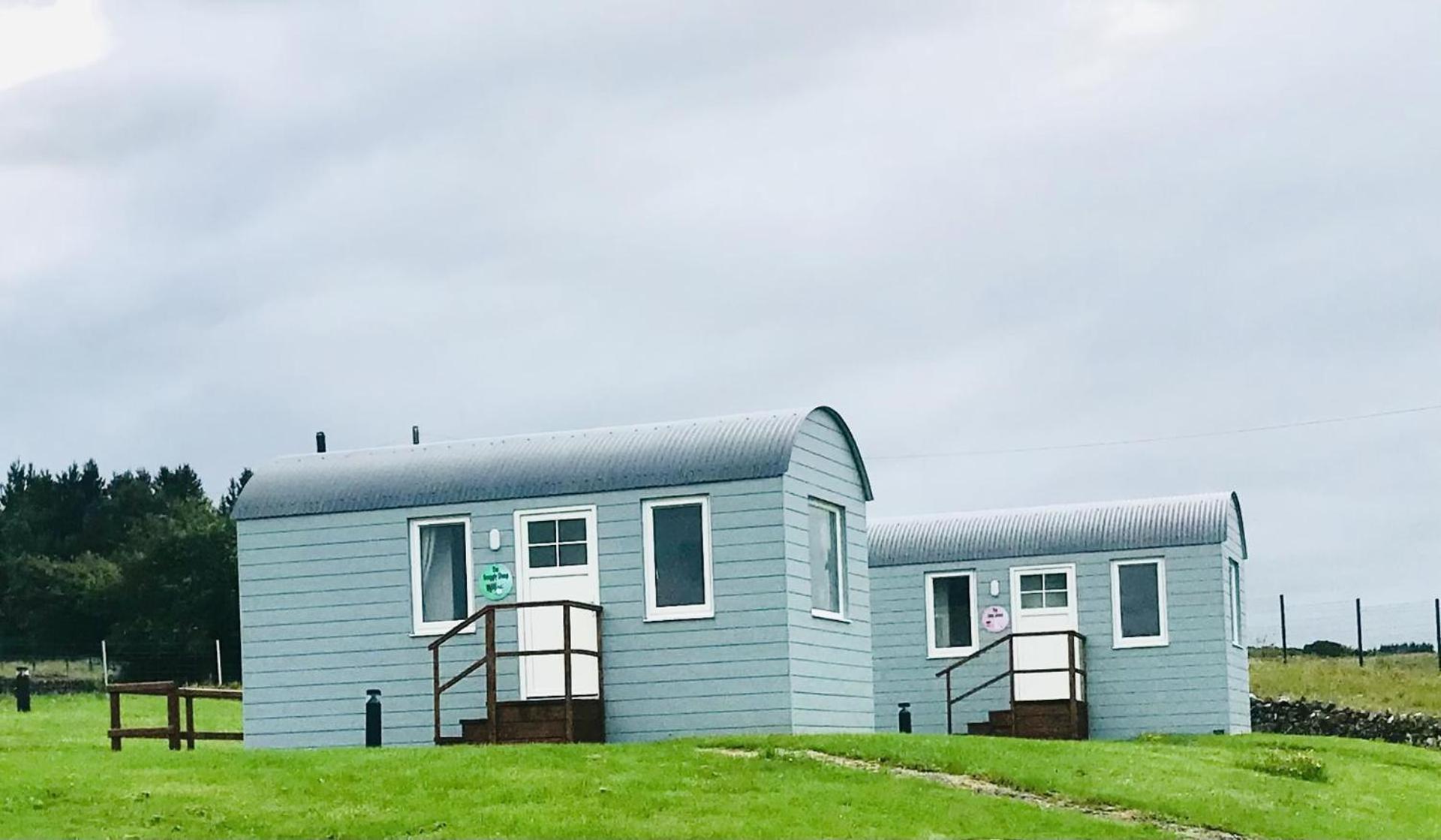The Beautiful Lazy Llama Shepherd Hut Farm Stay باليشانون المظهر الخارجي الصورة